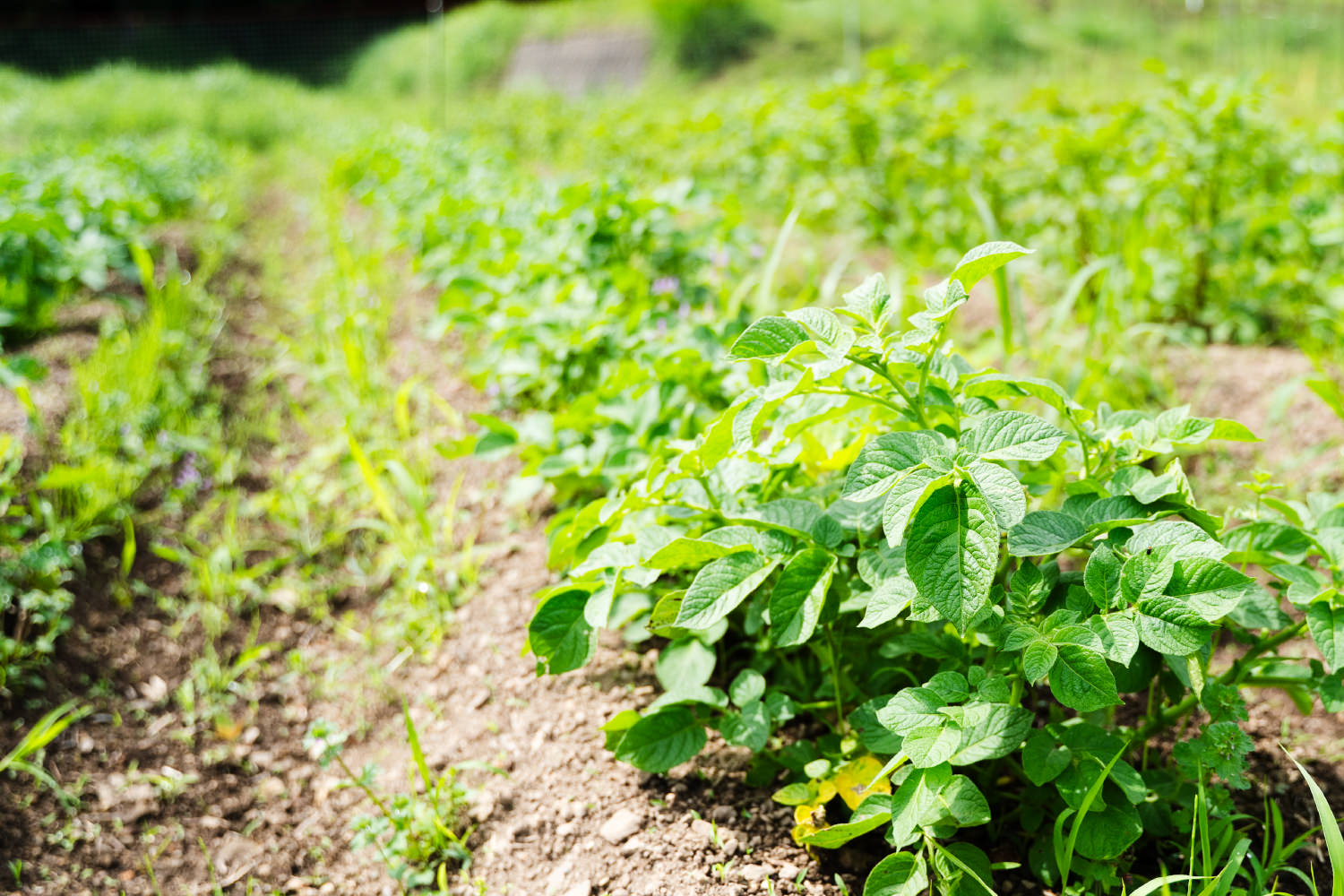和歌山県高野町富貴
