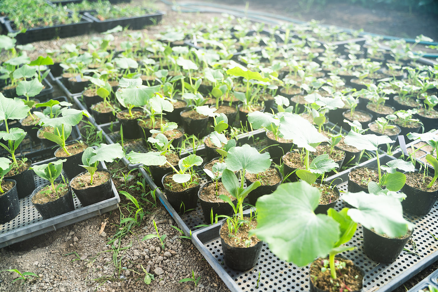 和歌山県高野町富貴