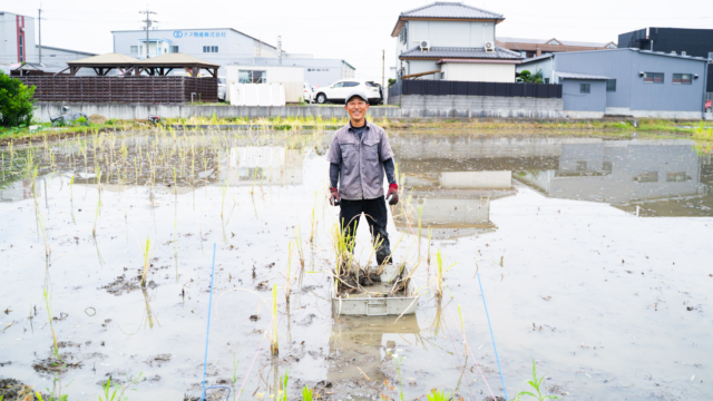 大阪府堺市のマコモ自然栽培農家 川澤健二さんを訪れて