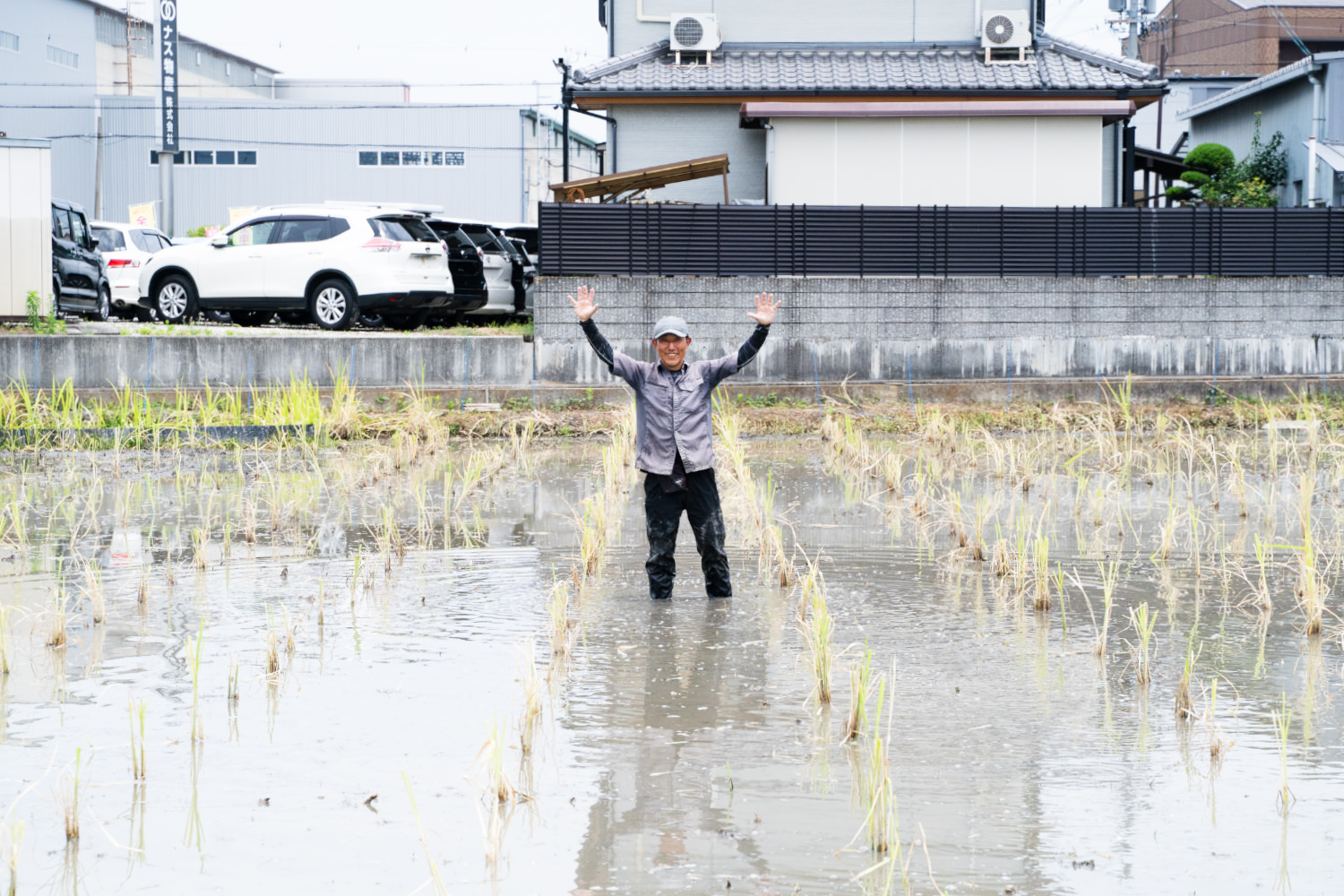 大阪府堺市のマコモ自然栽培農家 川澤健二さんを訪れて